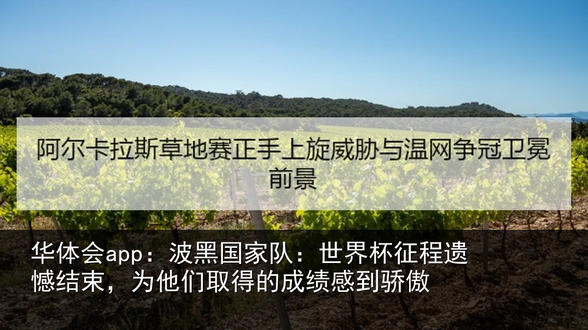 华体会app:波黑国家队:世界杯征程遗憾结束,为他们取得的成绩感到骄傲