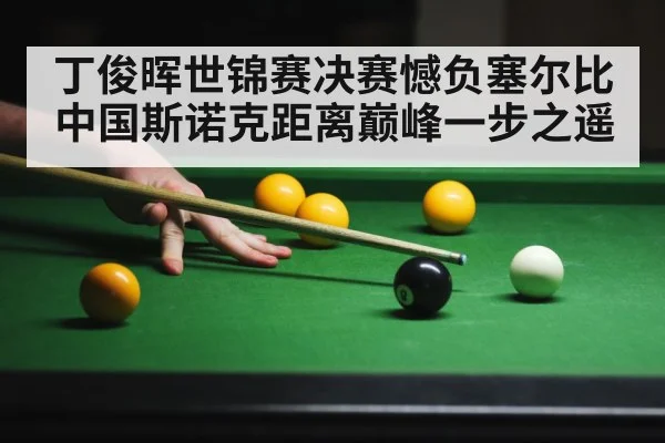 丁俊晖世锦赛决赛憾负塞尔比 中国斯诺克距离巅峰一步之遥